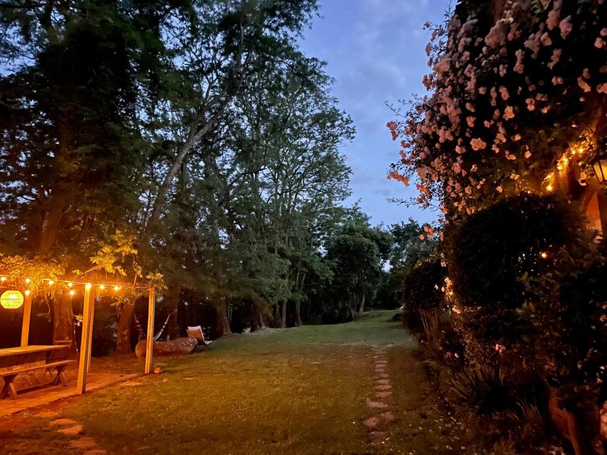 博尔塞纳Collina Blu住宿加早餐旅馆 外观 照片